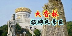 啊嗯唔不要了视频中国浙江-绍兴大香林旅游风景区
